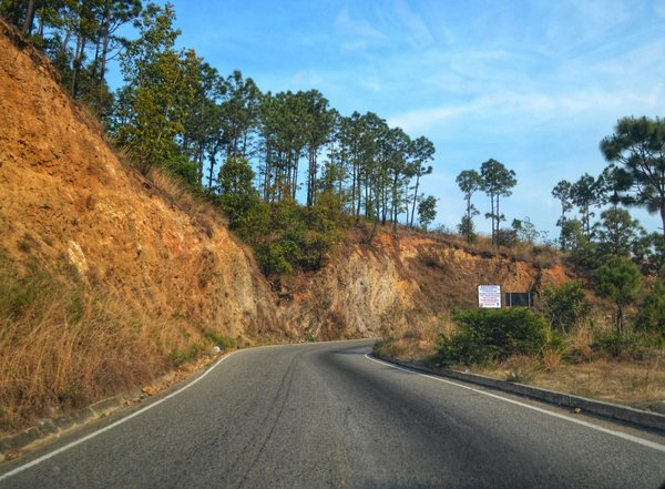 Welche Rolle spielen vernetzte Fahrzeuge in der Verkehrssicherheit?